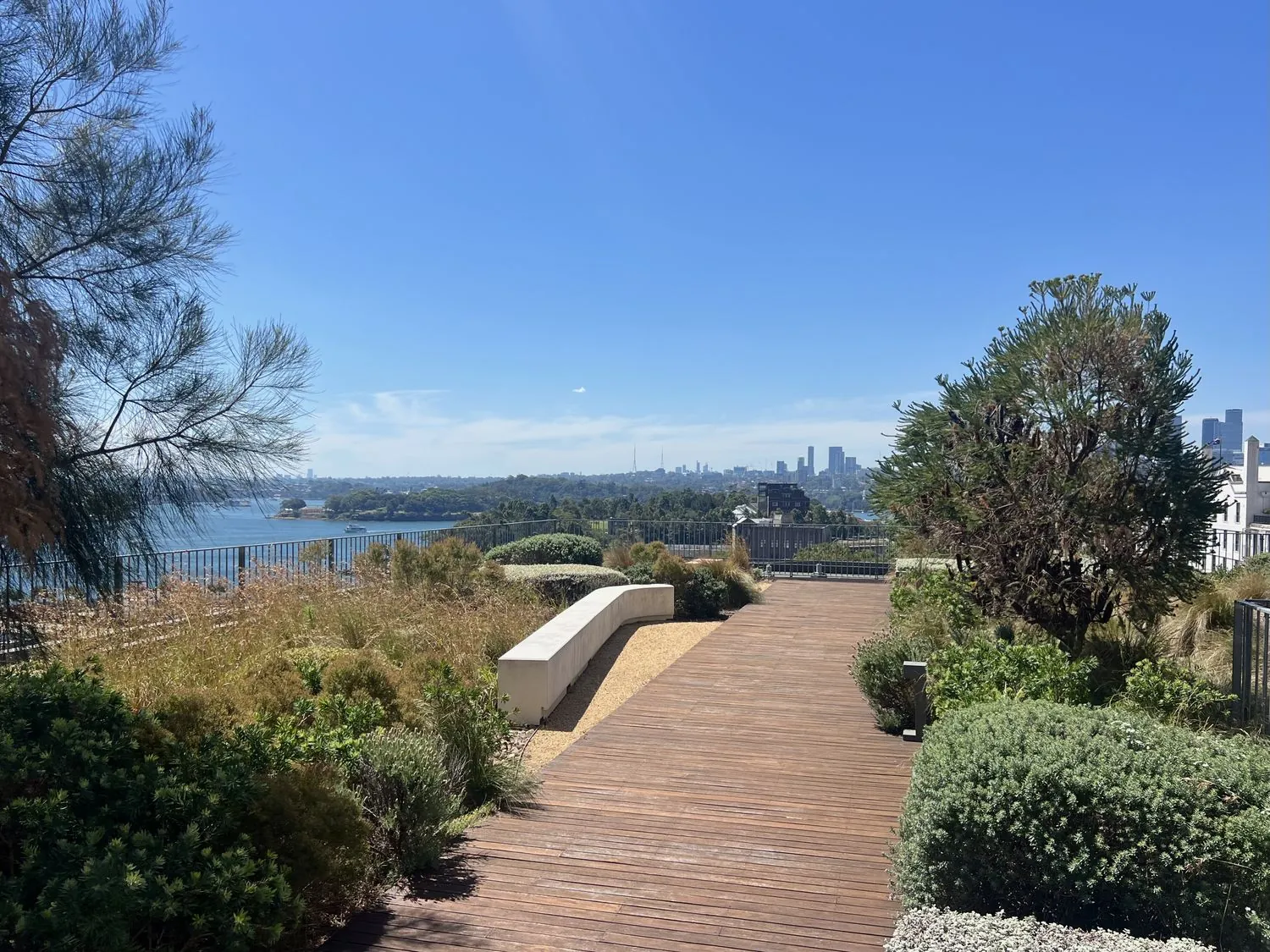 Green roof at a commercial building in Sydney with multiple garden zones and harbour views