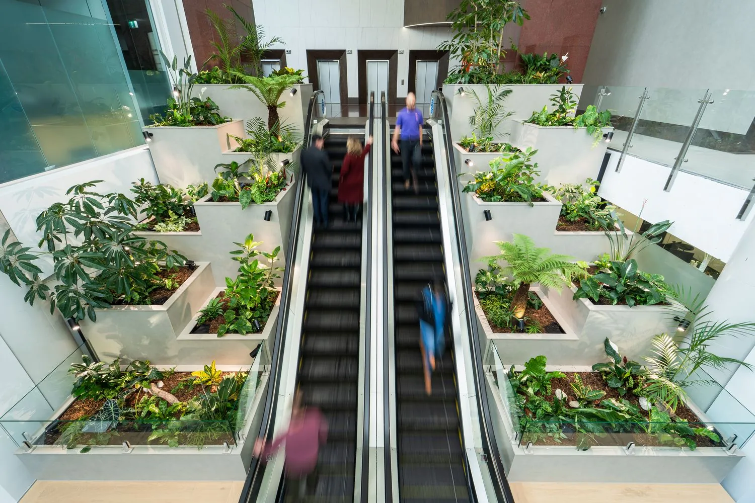 40 Automated Wicking Beds in a Commercial Atrium
