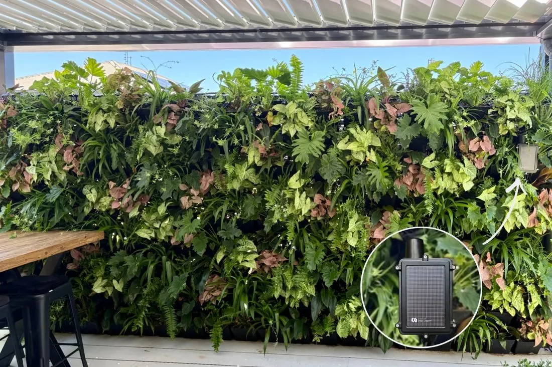 Two Vertical Green Walls at a Residential Home
