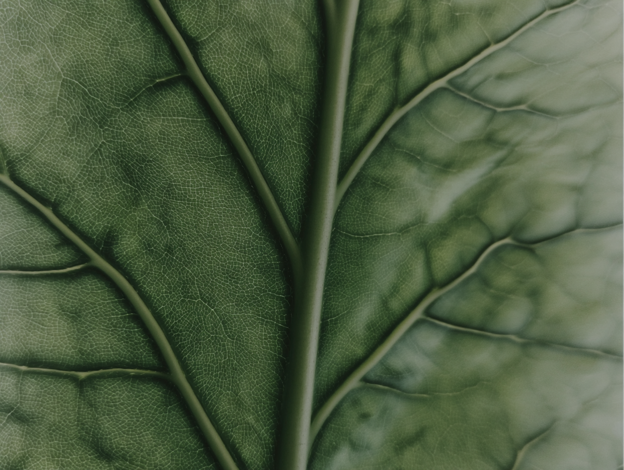 Close-up plant monitoring